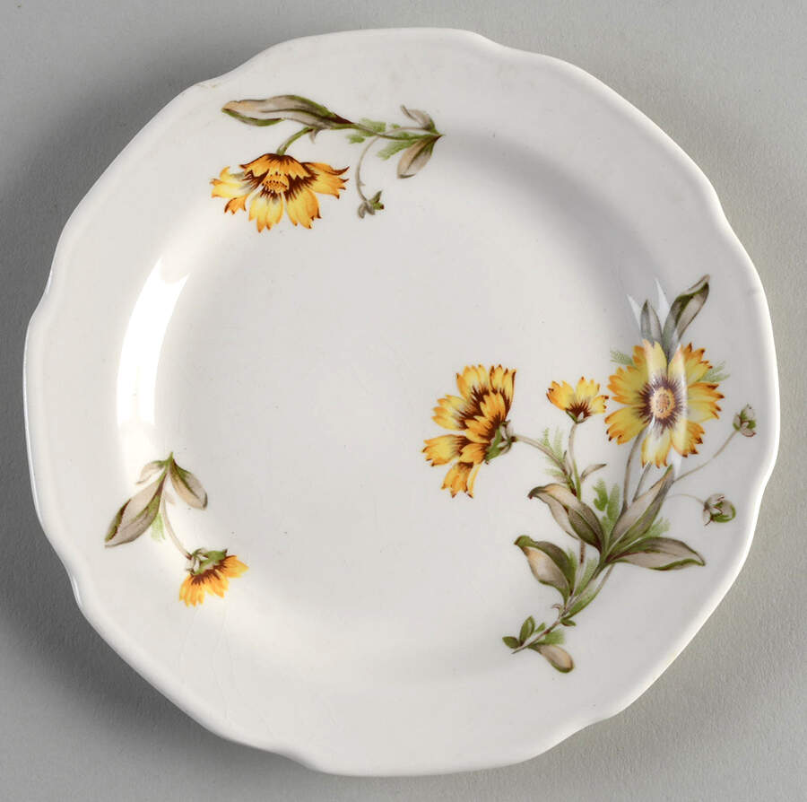 Indian Blanket Bread & Butter Plate by Mount Clemens-1