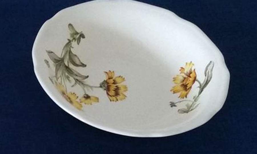 Indian Blanket Fruit/Dessert (Sauce) Bowl by Mount Clemens-1