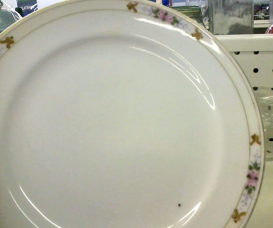 MEI1225 Dinner Plate by Meito-1