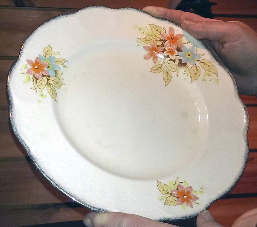 MEK408 Dinner Plate by J & G Meakin-1