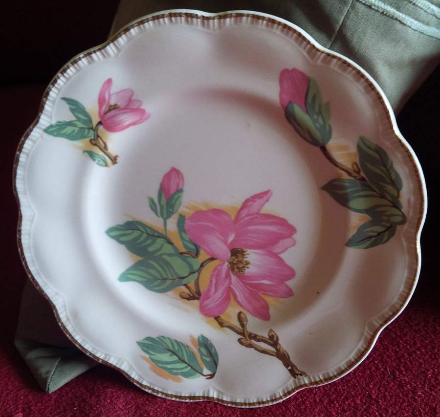 MEK444 Dinner Plate by J & G Meakin-1