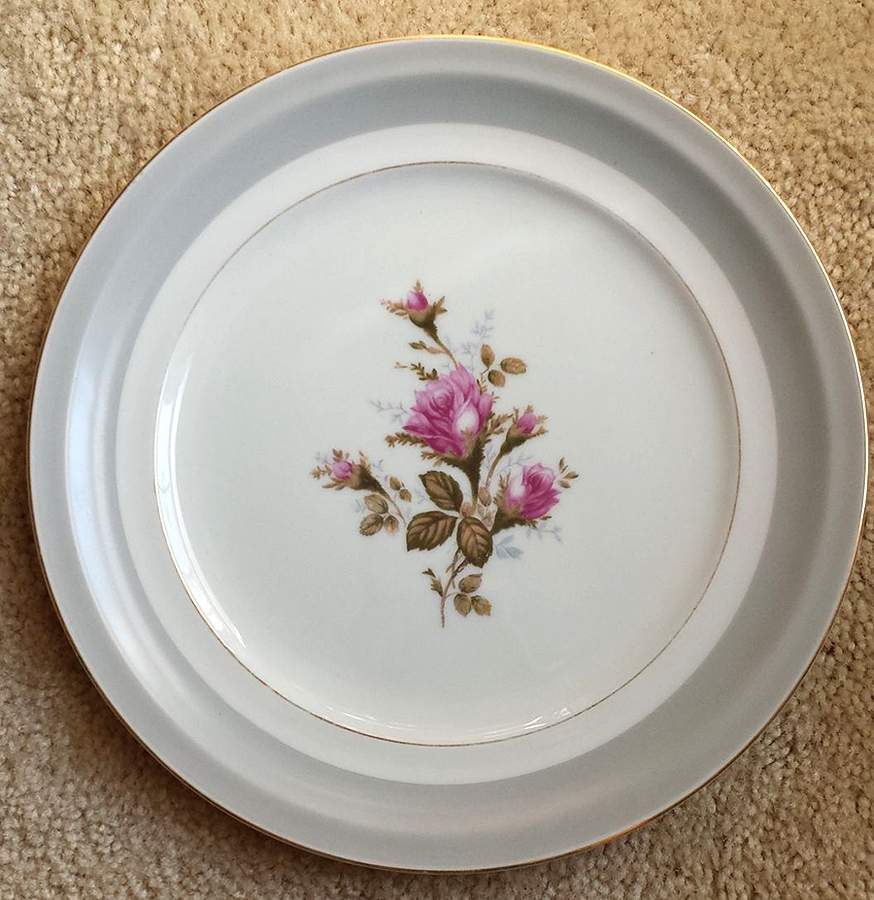 MEJ37 Dinner Plate by Meijyo (Japan)-1