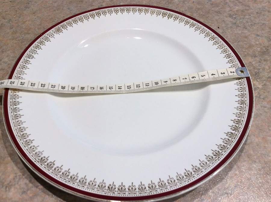 MEA408 Dinner Plate by Alfred Meakin-1