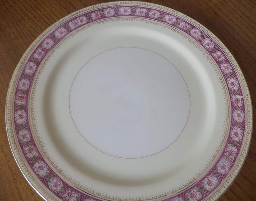 MRU19 Dinner Plate by Maruichi-1