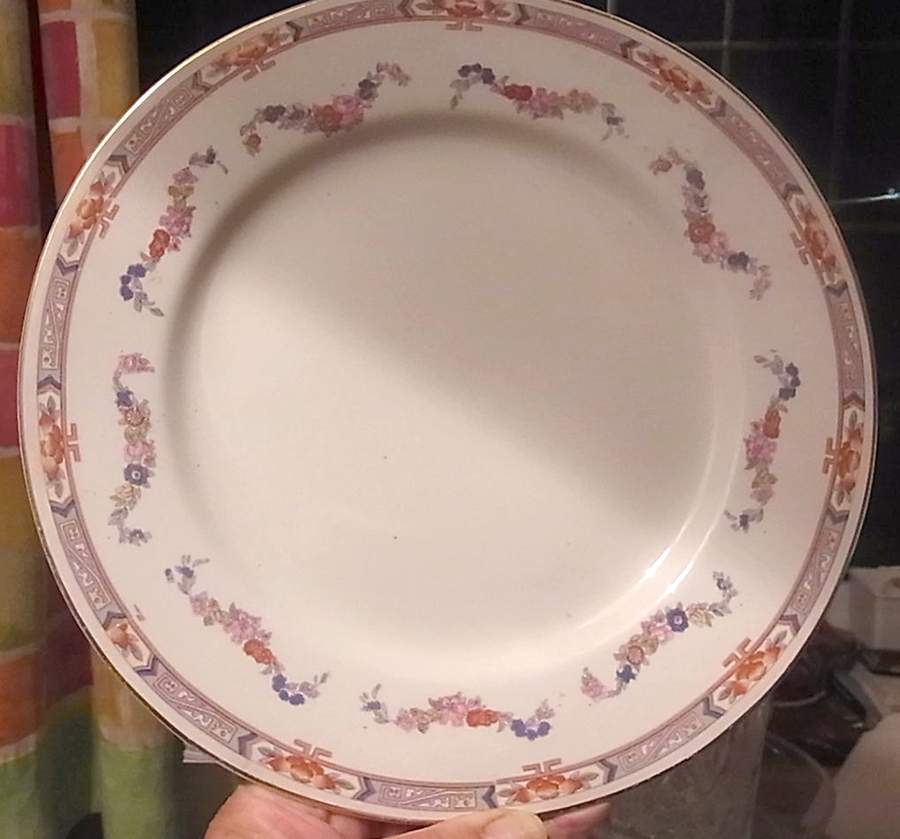 MEK340 Dinner Plate by J & G Meakin-1