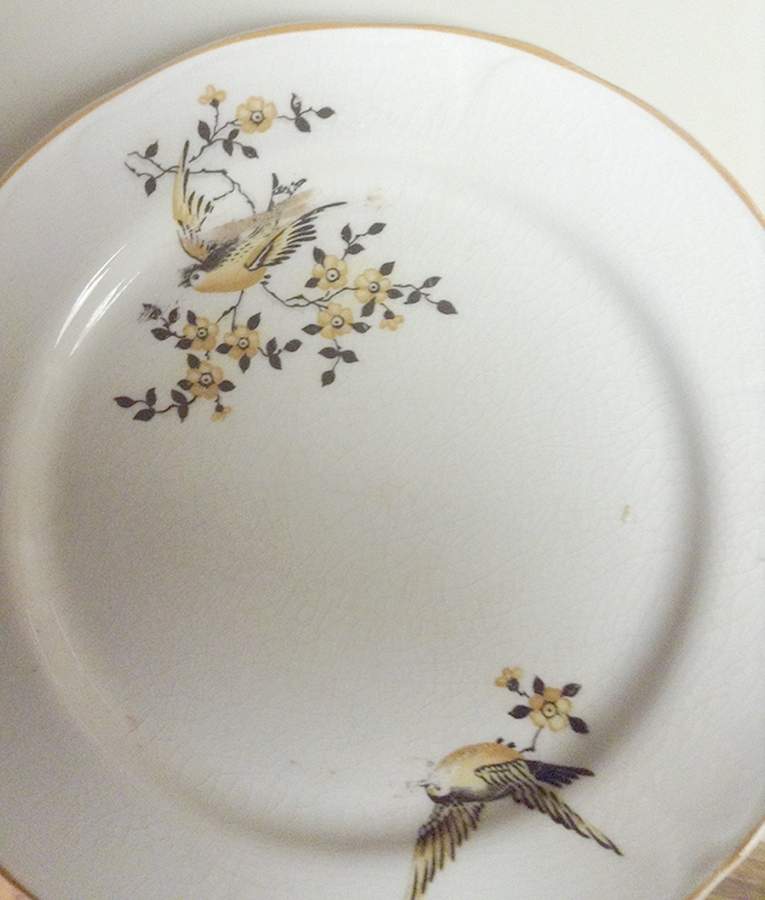 MTC135 Dinner Plate by Mount Clemens-1