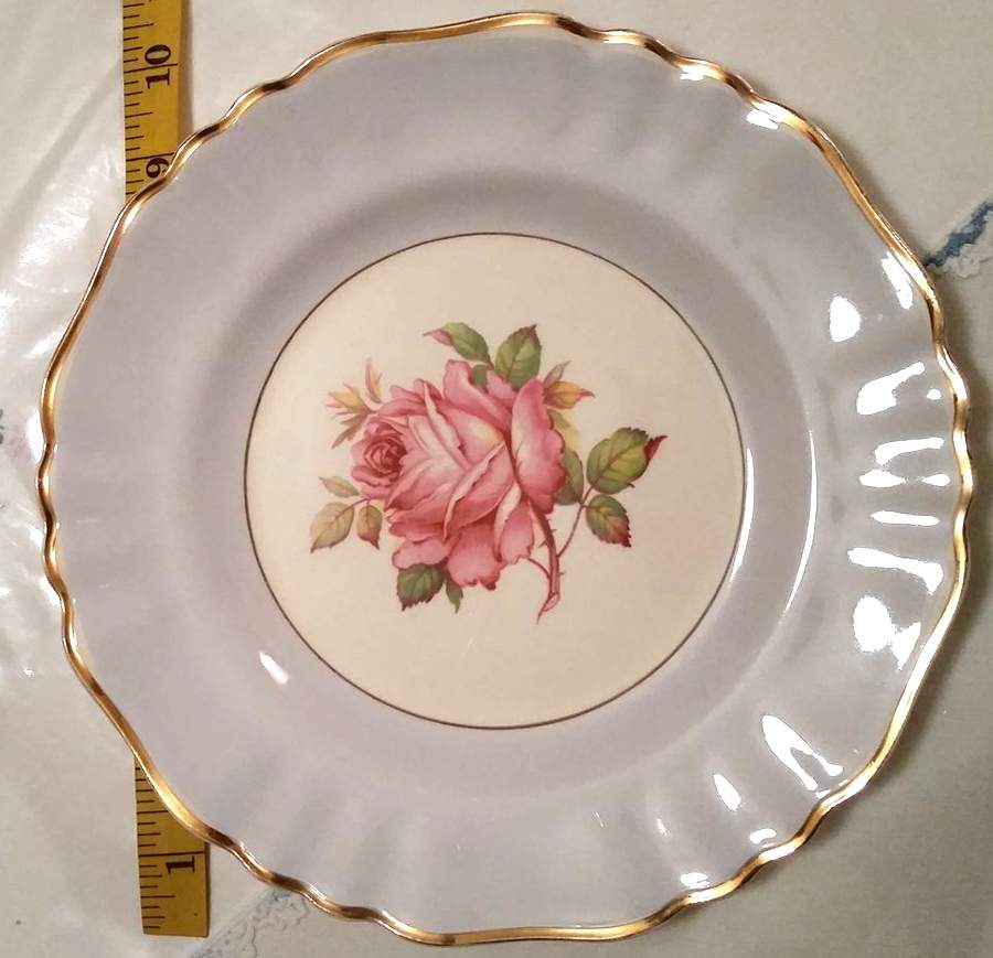 MEK331B Dinner Plate by J & G Meakin-1