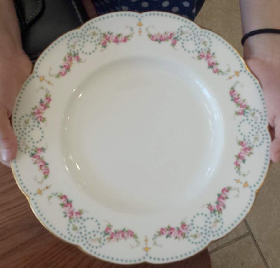 Pa9668 Dinner Plate by Minton-1