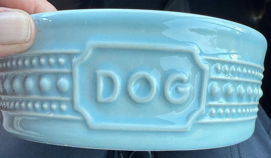 M2A20 Teal Dog Bowl by Matceramica-1