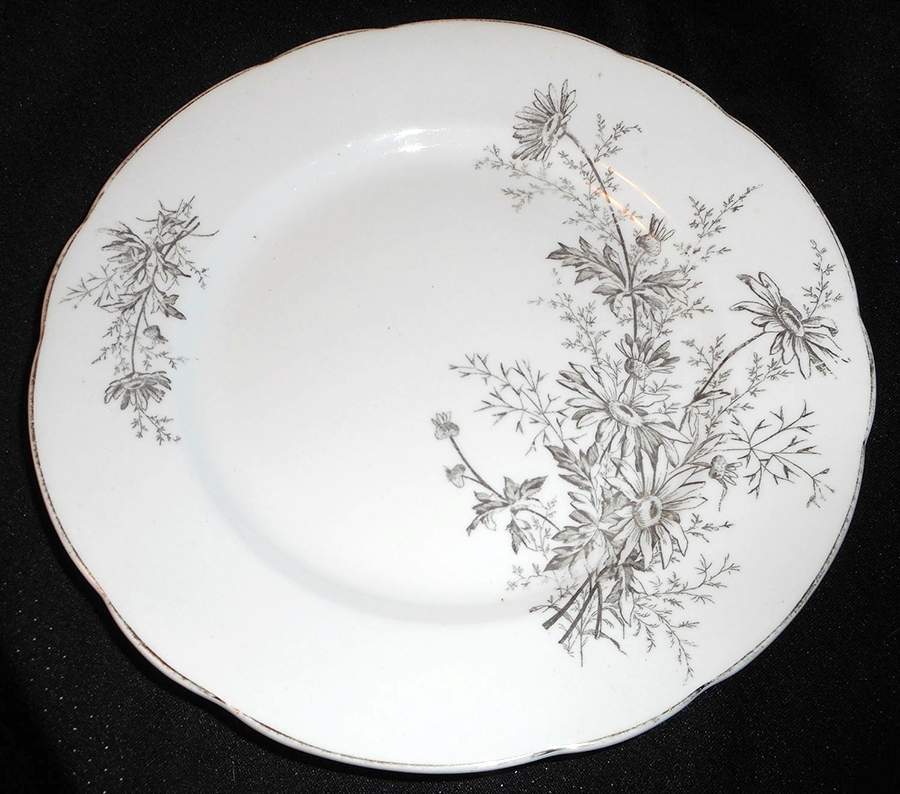 MAD276 Dinner Plate by John Maddock & Sons-1