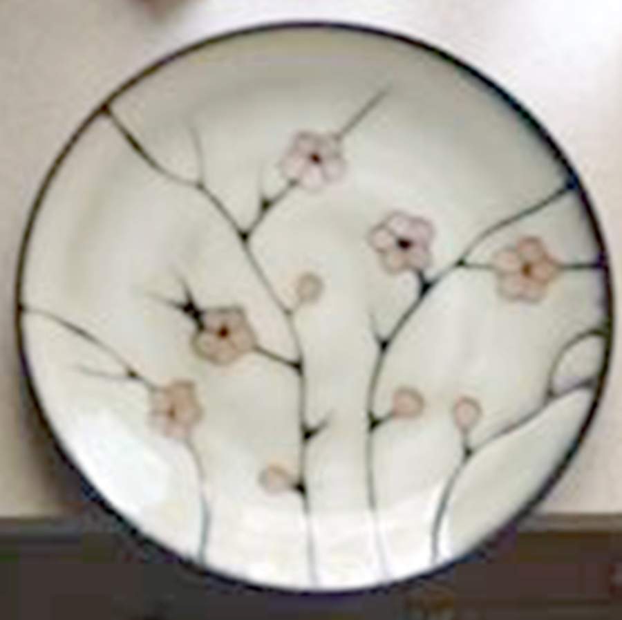 Pasha Tan Soup/Cereal Bowl by Mikasa-1