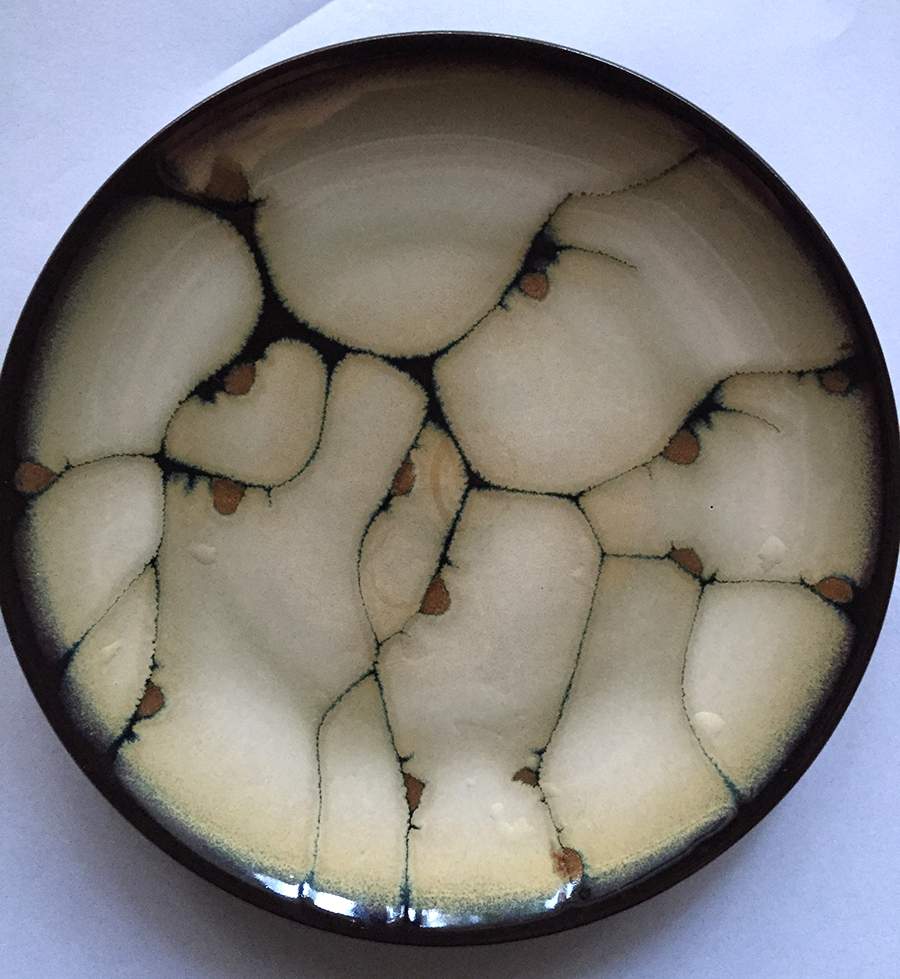 Andria Dinner Plate by Mikasa-1