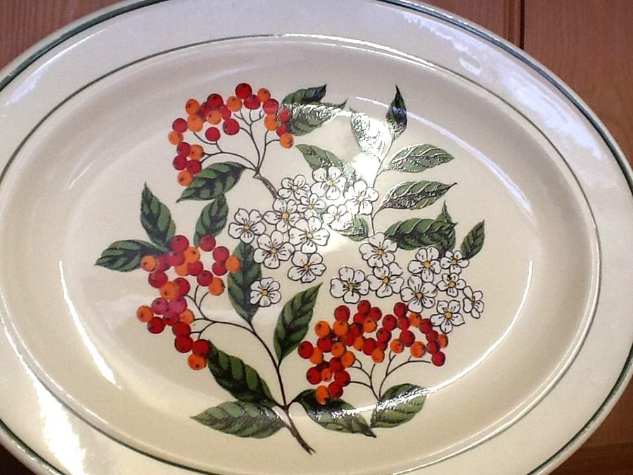 MEK415 12" Oval Serving Platter by J & G Meakin-1
