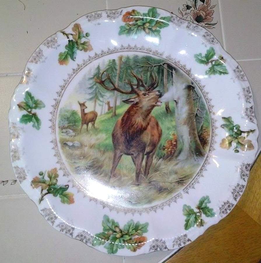 MOS52 Dinner Plate by Moschendorf-1