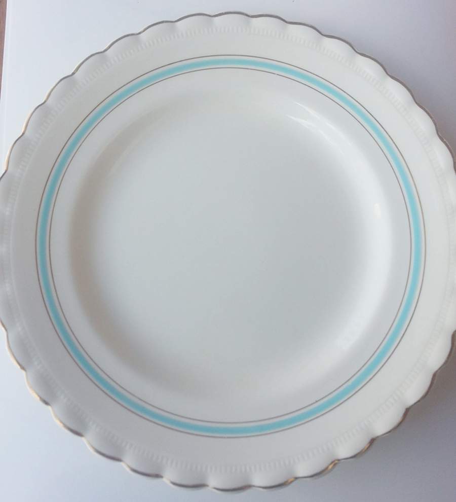 MEK418 Dinner Plate by J & G Meakin-1