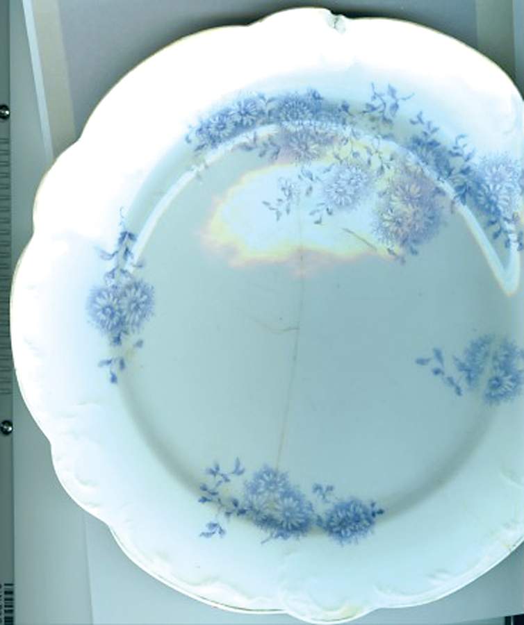 MEG19 Dinner Plate by Merkelsgrun-1