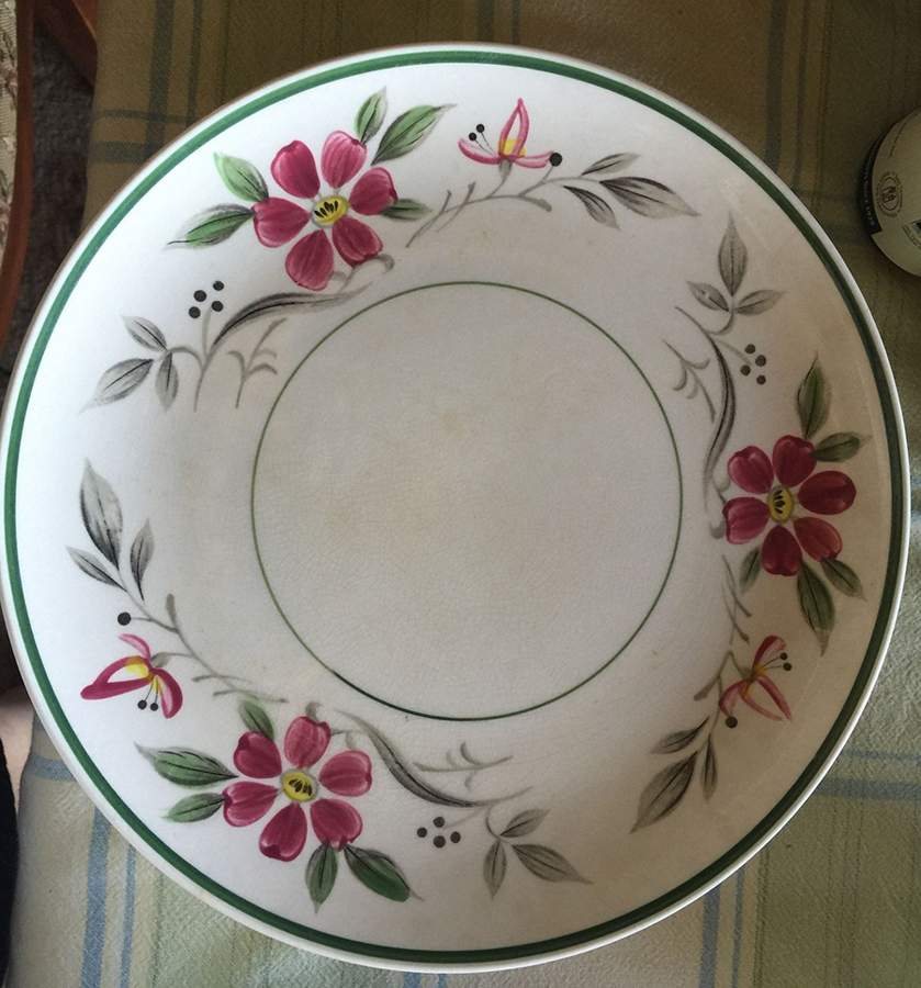 Camellia Dinner Plate by MS (Japan)-1