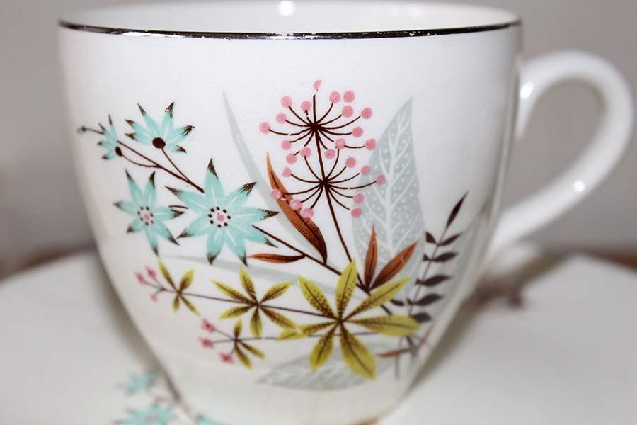 Pastoral Flat Cup & Saucer Set by Myott Staffordshire-1
