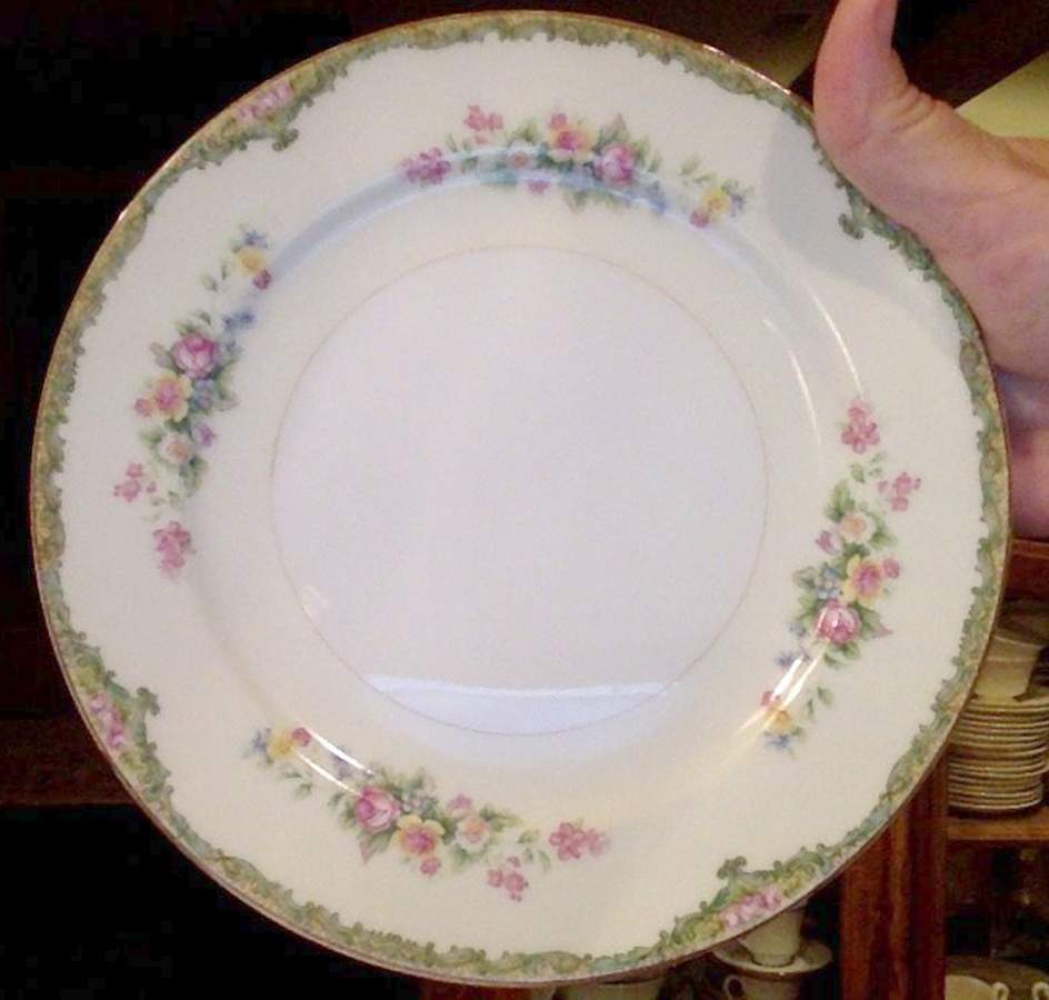 MTS13 Salad Plate by Mitsukura-1