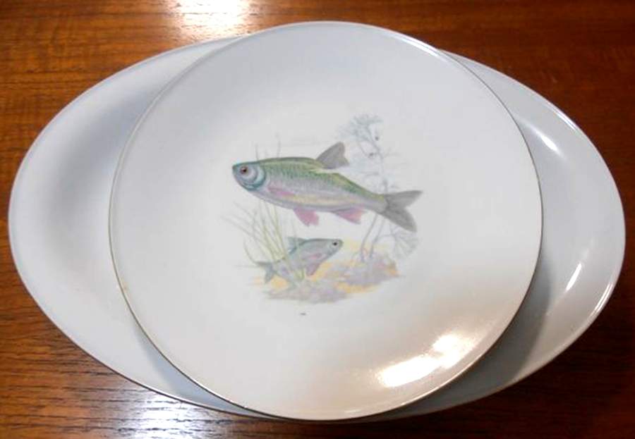 069 (Fish) Dinner Plate by Mitterteich-1