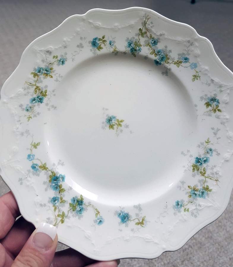 MAD282 Dinner Plate by John Maddock & Sons-1