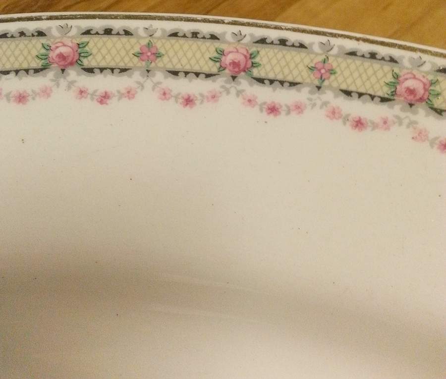 MEK346 Dinner Plate by J & G Meakin-1