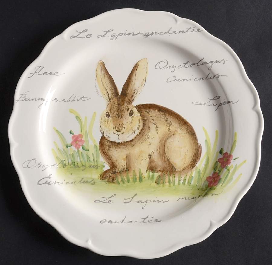 Postcard Bunny Dinner Plate by Maxcera Corp-1