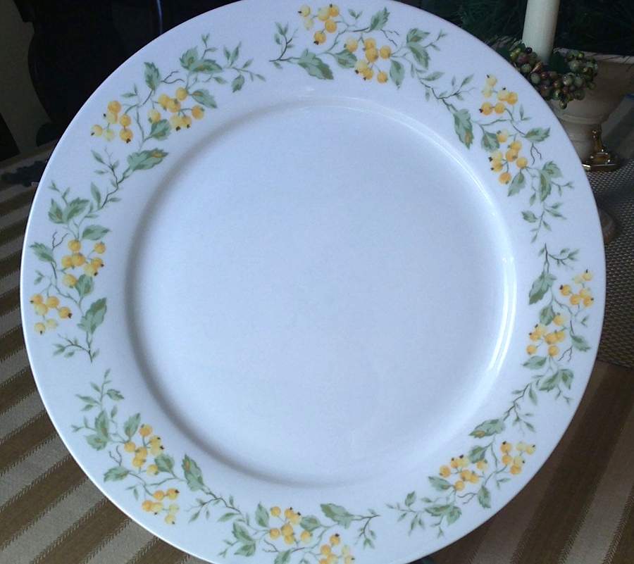 MTW46 Dinner Plate by Martha Stewart-1