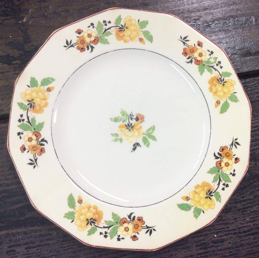 MYO189 Dinner Plate by Myott Staffordshire-1