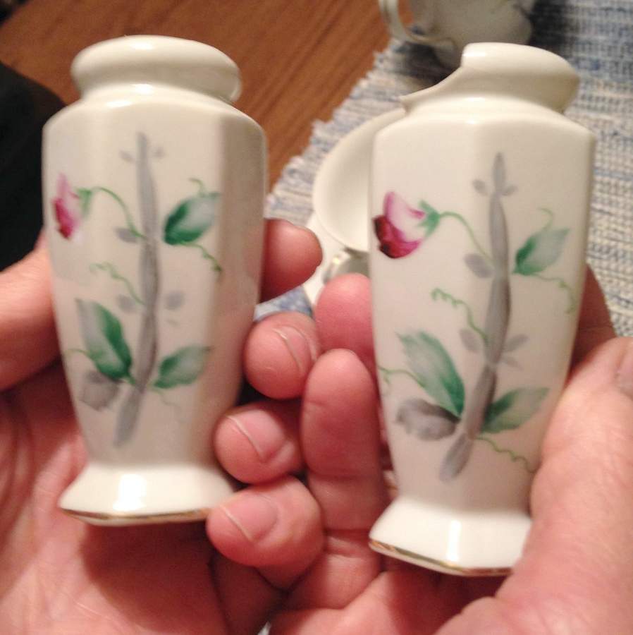 MEJ33 Salt & Pepper Set by Meijyo (Japan)-1