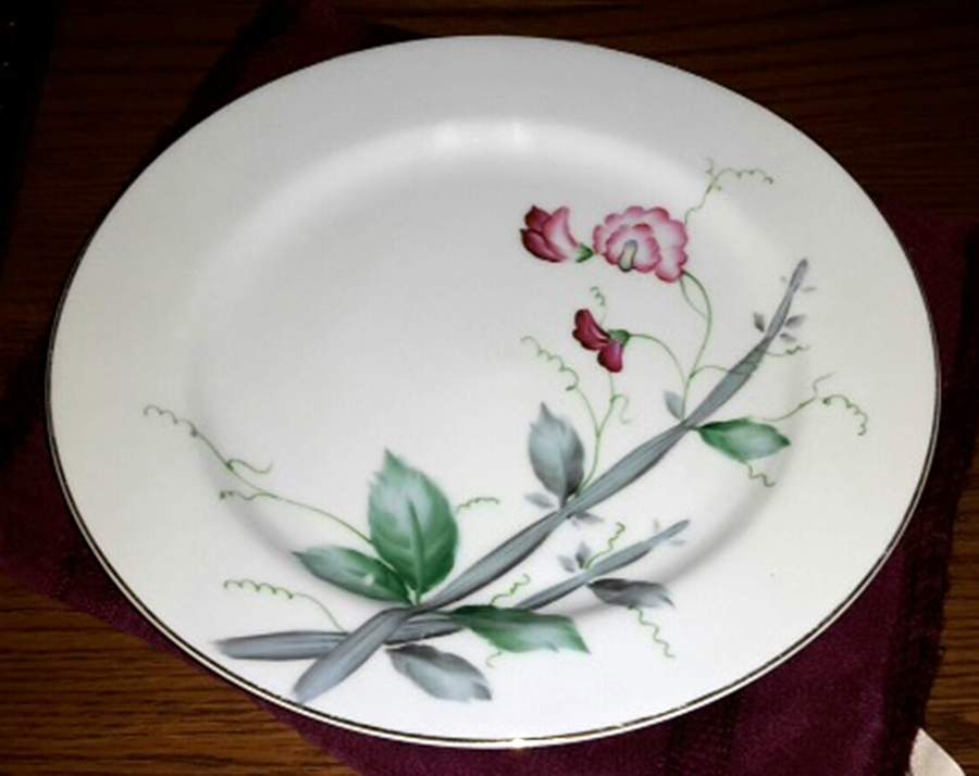 MEJ33 Dinner Plate by Meijyo (Japan)-1