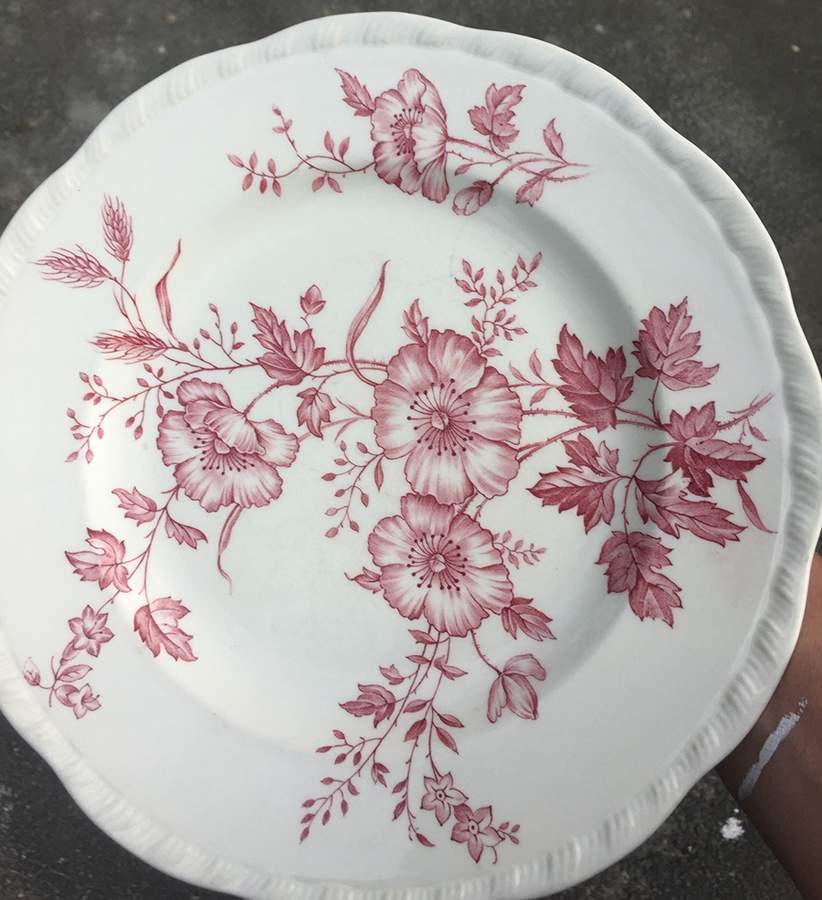 Harvest Poppy Dinner Plate by Alfred Meakin-1