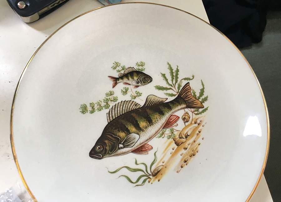 MAD287 Dinner Plate by John Maddock & Sons-1