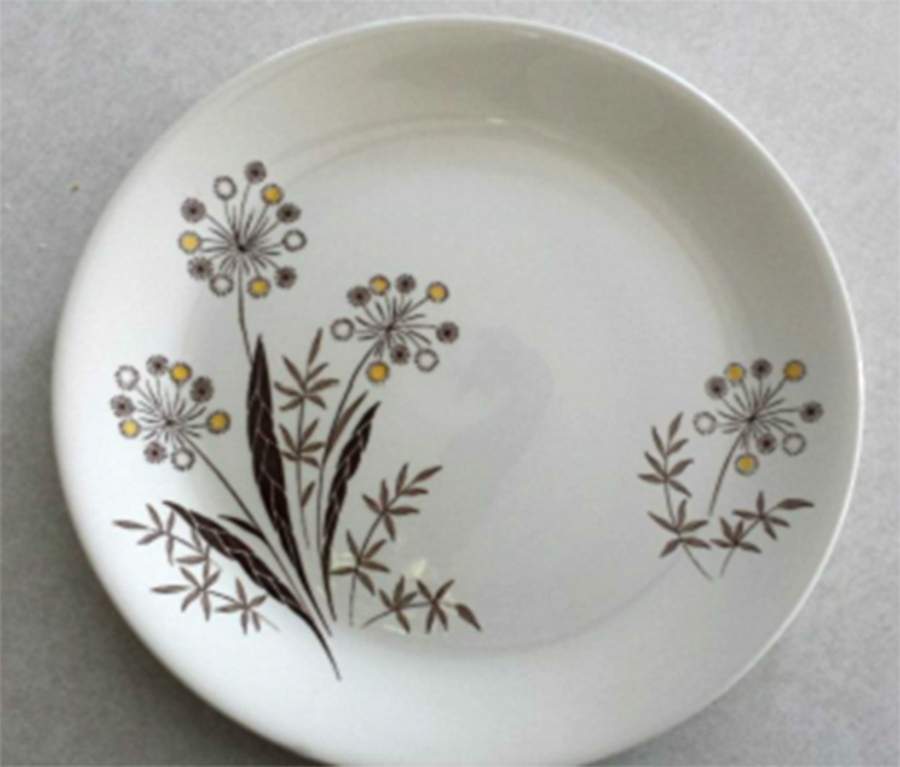 Pride Dinner Plate by Alfred Meakin-1