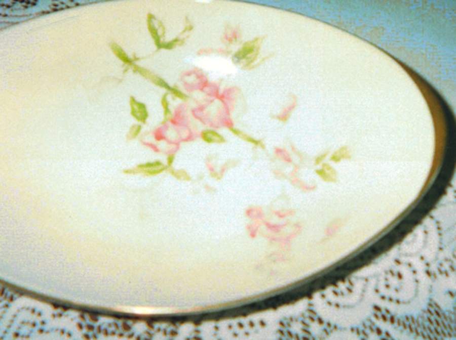 Glenwood Dinner Plate by Meito-1