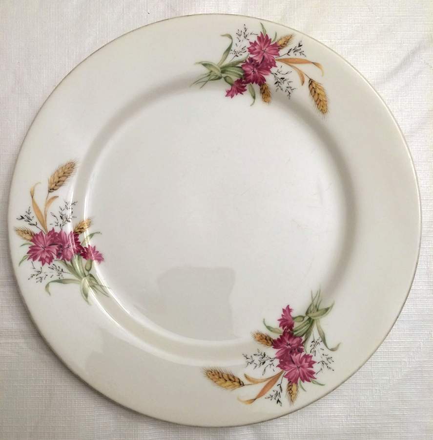 MSJ29 Dinner Plate by MS (Japan)-1