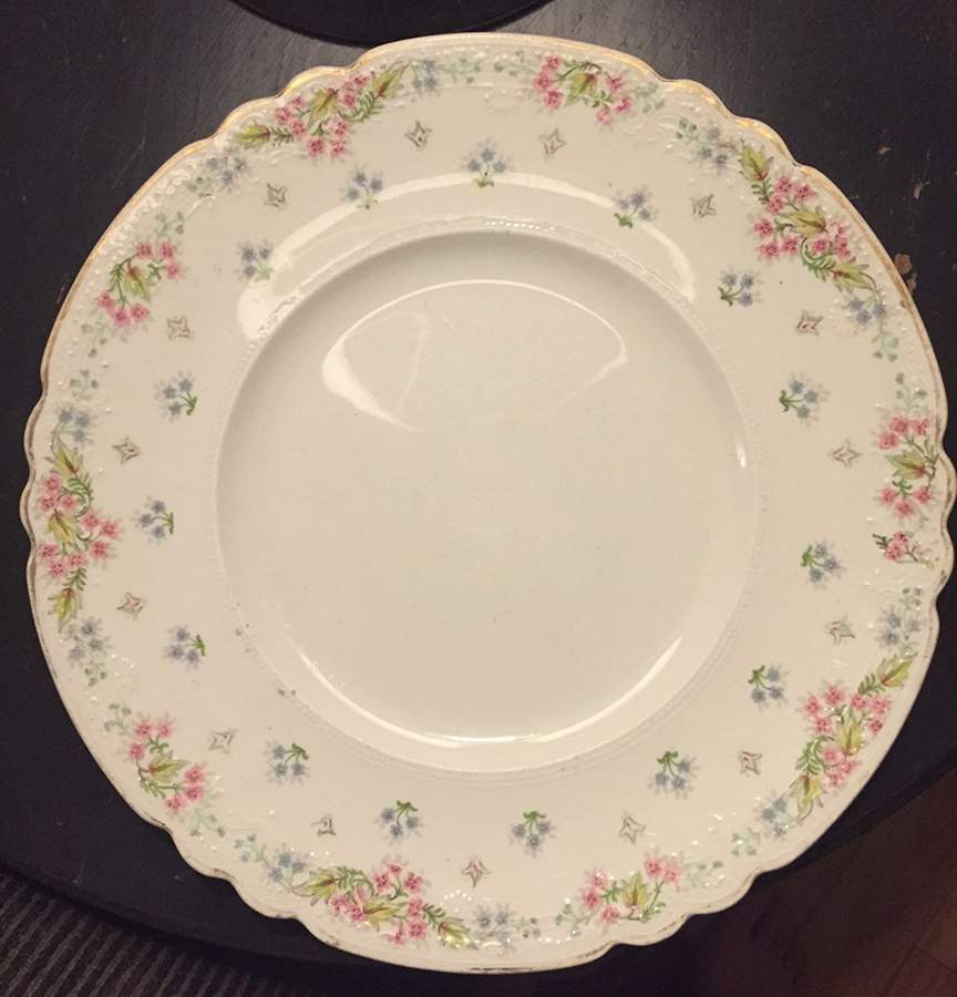 MEK437 Dinner Plate by J & G Meakin-1