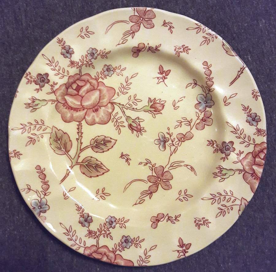 M1D13 Dinner Plate by Mulberry Home Collection-1