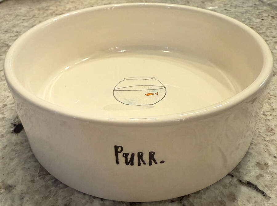 Rae Dunn Pet Products Cat Bowl by Magenta-1