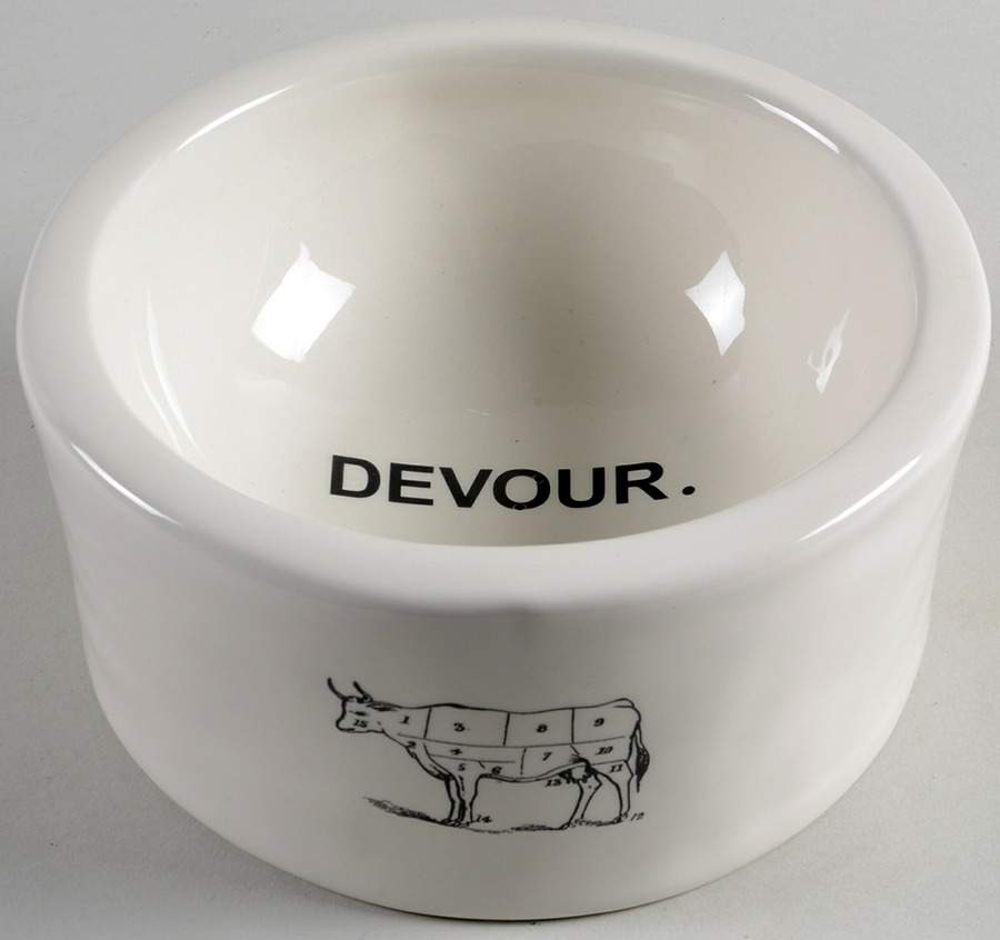 Rae Dunn Pet Products Dog Bowl by Magenta-1