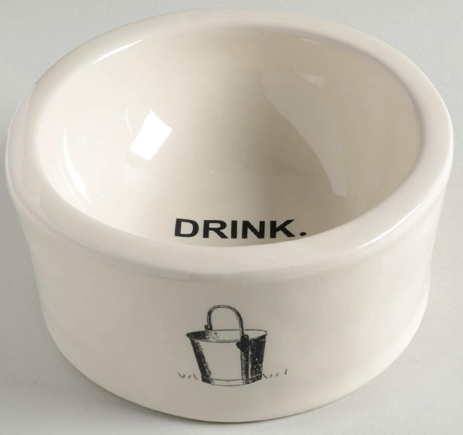 Rae Dunn Pet Products Dog Bowl by Magenta-1