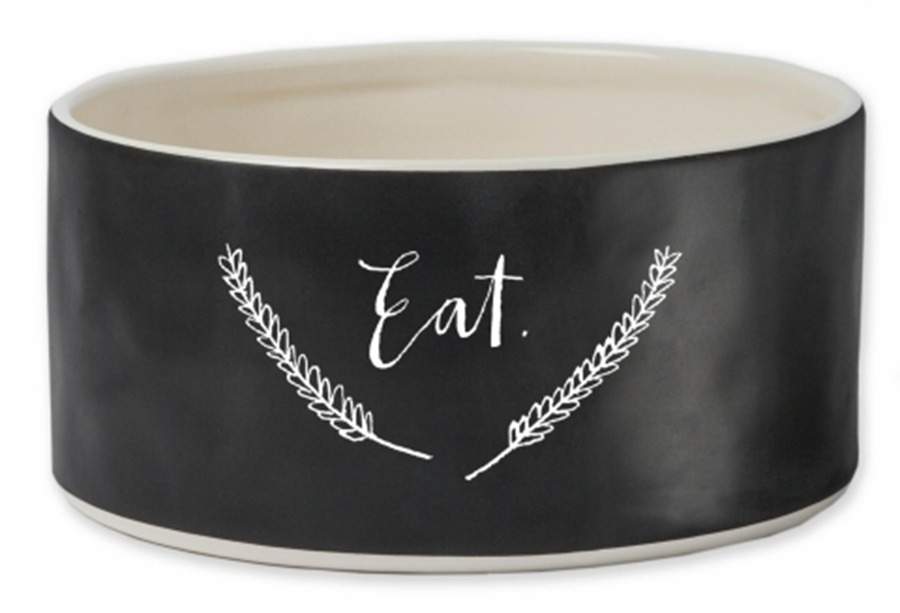 Rae Dunn Pet Products Dog Bowl by Magenta-1