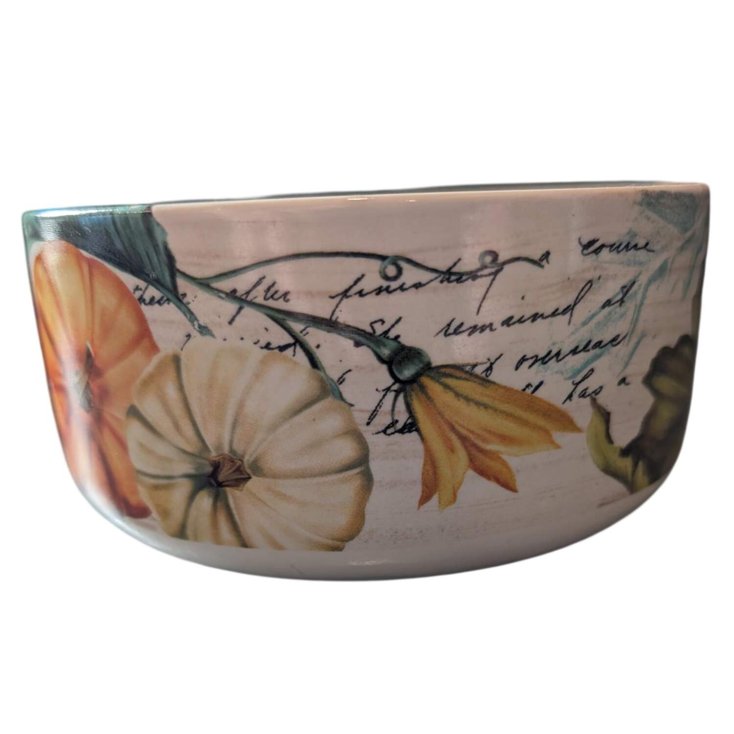 Pumpkin Soup/Cereal Bowl by Mainstays-1