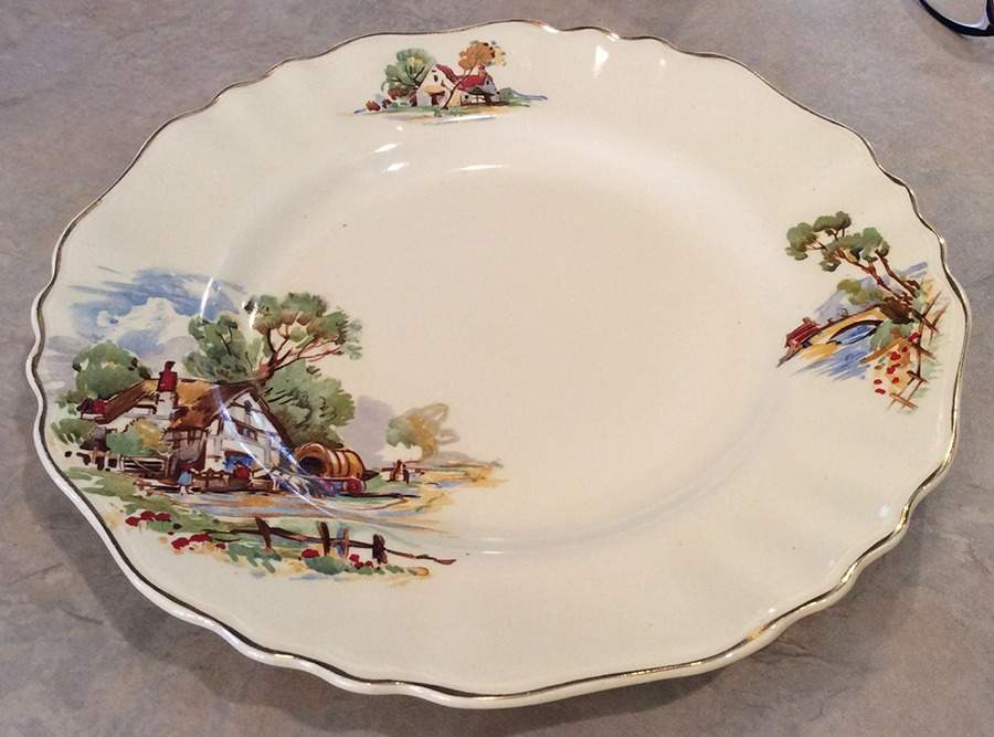 MEK439 Dinner Plate by J & G Meakin-1