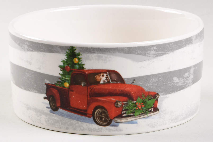 M2G22 Dog Bowl by Magenta-1