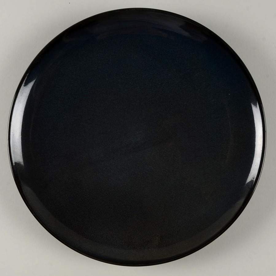MTW50 Dinner Plate by Martha Stewart-1