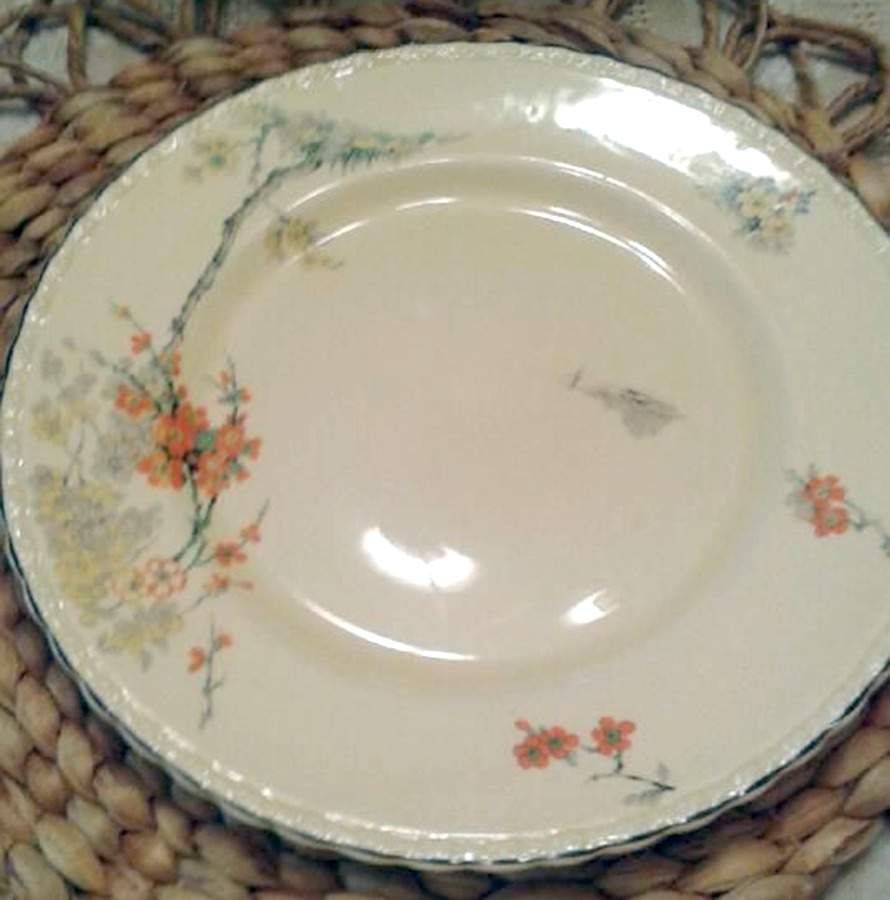 Evangeline Dinner Plate by Myott Staffordshire-1