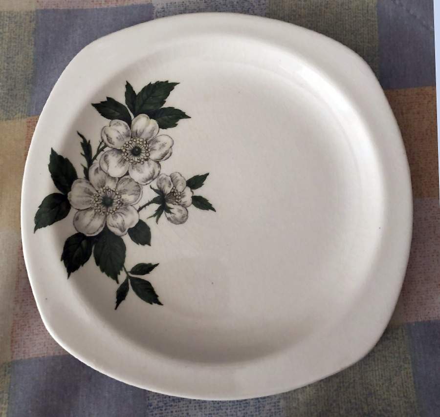 MDW57 Dinner Plate by W R Midwinter Ltd-1