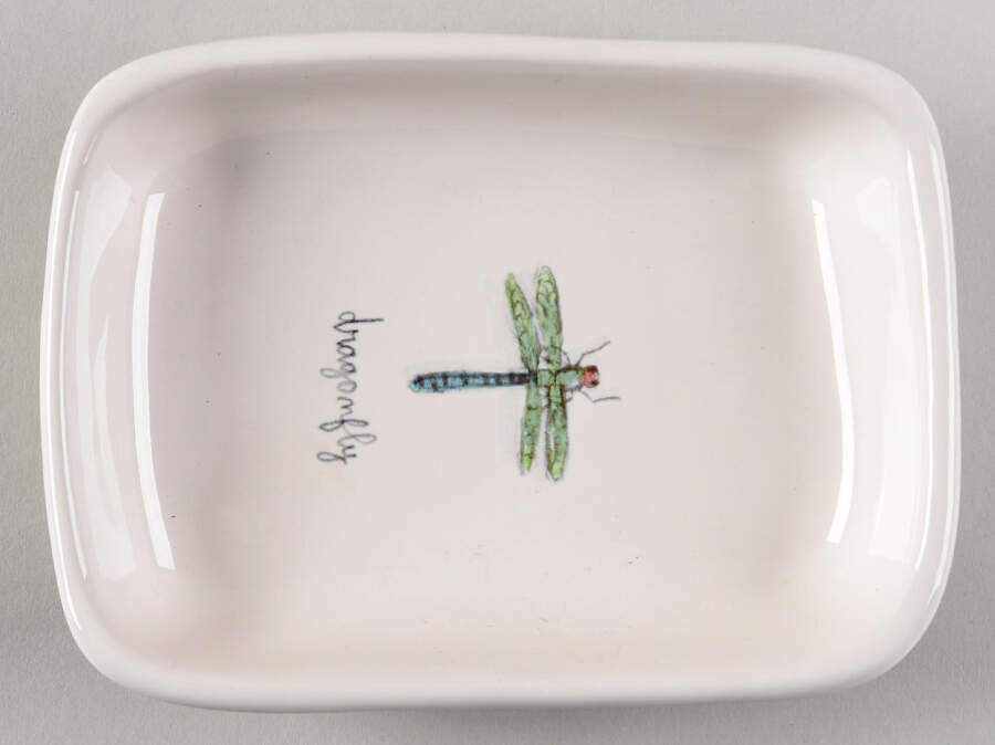 Garden Insects (Script) Rectangular Dish by Magenta-1