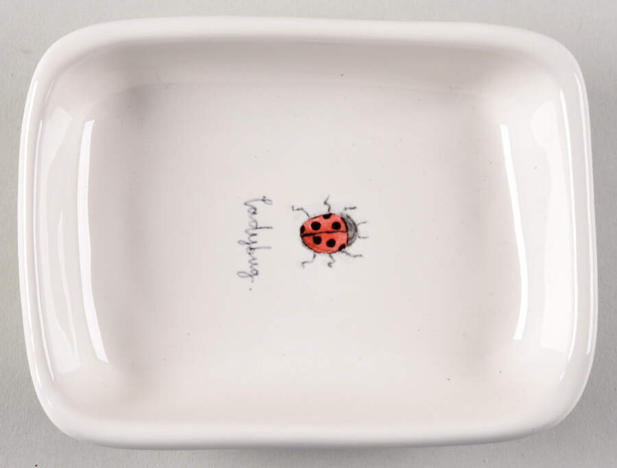 Garden Insects (Script) Rectangular Dish by Magenta-1
